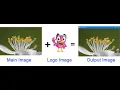 Digital Image Watermarking In Python Project With Source Code