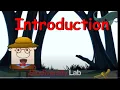 Introduction Relationships and Biodiversity Lab NYS Living Environment