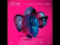 WATAWI [Edit] (feat. Focalistic, Davido & Abidoza) - CKay