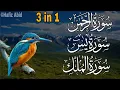 Download Lagu Surah Ar-Rahman + Yasin + Al-Mulk | Healing Quran Recitation