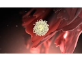 Download Lagu Ovulatie - Nucleus Gezondheid