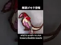 Download Lagu 【GOMORA】You can see everything inside!! #ultraman #kaiju