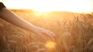 محاكاة الشاي الفنان محمد حسن فكرة وتنفيذ خالد الزاوي 