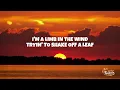 Lainey Wilson - Can't Sit Still (Lyrics)