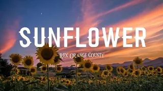 Download sunflower - Rex Orange County || lirik MP3