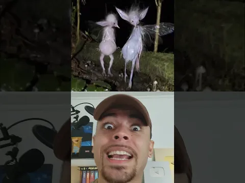 O QUE É ISSO?