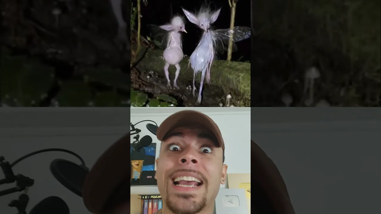 O QUE É ISSO?