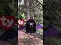 Summer is ending spooky season is beginning