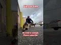 Download Lagu Alleycat Cam #love #cat #shorts #viralvideo #cats #shortvideo #funny #cute #animals #trending #god