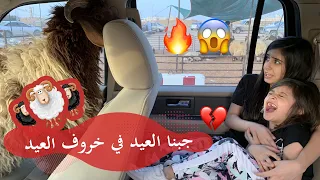 جبنا العيد بخروف العيد صدمة عمر ولا حسبنا حسابها 