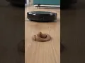 Download Lagu Robot Vacuum vs. Gross Surprise!