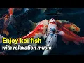 Download Lagu Enjoy koi fish with relaxation music