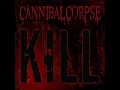 Cannibal Corpse  Make Them Suffer