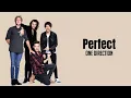 Download Lagu One Direction - Perfect [LYRICS]