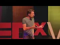 Swarm Intelligence From Bees Feeding Bees To Cars Charging Cars Tim Landgraf TEDxVicenza