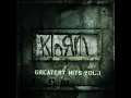 Korn - Right Now (Bust U Up Version) (Clean)