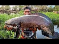 Lagu NIAT MANCING TOMAN MALAH PANEN IKAN GABUS MONSTER./CESTING SNAKEHEAD