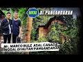 Lagu Viral‼️Mr. Marco Bule Asal Canada Yang Tinggal Di Hutan Pangandaran Selama 30 Tahunan.
