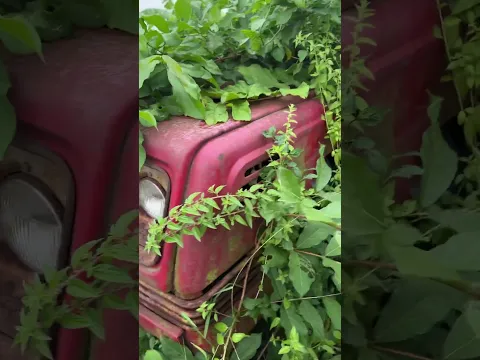 Can an abandoned tractor in the bushes be recovered?#shortvideo #restoration #abandoned
