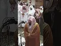 Download Lagu Surah Al Fatiha by Sheikh Sudais #ramadannights