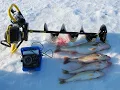 Download Lagu DWF Walleye Ice Seminar 1/18/21