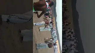 عبد الواحد الباوقة جبل ام علي 