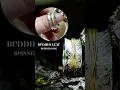 Buddhi Leaf Spinner Ring in Silver Spinner Ring in Silver