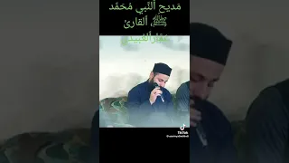 هذي القلوب القاسيه ماتفهم دندنها