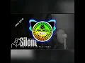 DUORUSH - Silent ∆ND∆ WT∆™ Remix [2026]