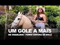 Download Lagu Forró Cintura de Mola - Um Gole a Mais