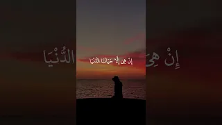 هيهات هيهات لما توعدون ماهر المعيقلي 