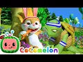 The Tortoise and the Hare - Who s going to win the race CoComelon Animal Time Animals for Kids