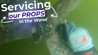 Boat Life: Servicing Max Props While in the Water – Lazy Gecko Sailing & Adventures
