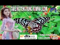 Download Lagu tarling teng dung rampak slow || VOL 1