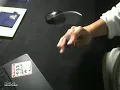 Stray | shadow 元動画
