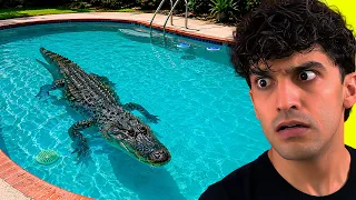 10 Coisas Estranhas Encontradas em Piscinas