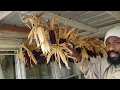 How We Dry Corn to Put Away for Storage
