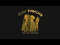 Jesse Royal - Rich Forever featuring Vybz Kartel (Audio)