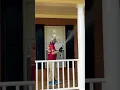 ROCKIN Porch Soft Wash Pollen Bugs GONE