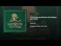 Liberdade pra Dentro da Cabeça (Ao Vivo) - Natiruts