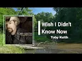 Toby Keith - Wish I Didn't Know Now (Lyrics)