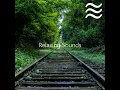 Feel Calm and Relaxed with White Noises