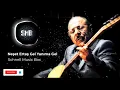 Neşet Ertaş Gel Yanıma Gel Remix (Schnell Music Box)