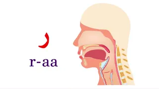 نطق حرف الراء 
