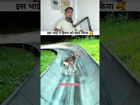 हिरण को किया मदद 😱😂 #mhacommunity