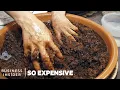 Why Argan Oil Is So Expensive So Expensive
