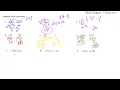 101 7-Mid Chapter Solutions 1-9
