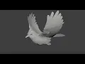 Bird Flying Animation