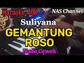 Download Lagu GEMANTUNG ROSO - KARAOKE.HD - SULIYANA - NADA CEWEK // NAS Channel
