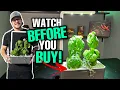 Lagu Een EERLIJKE recensie van de Click And Grow Smart Garden na 2 maanden!